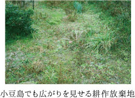 小豆島でも広がりを見せる耕作放棄地
