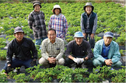 小豆島の農家