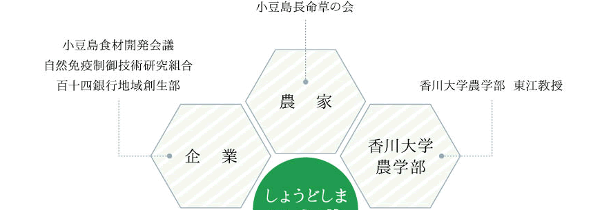 まるごと小豆島の組織図